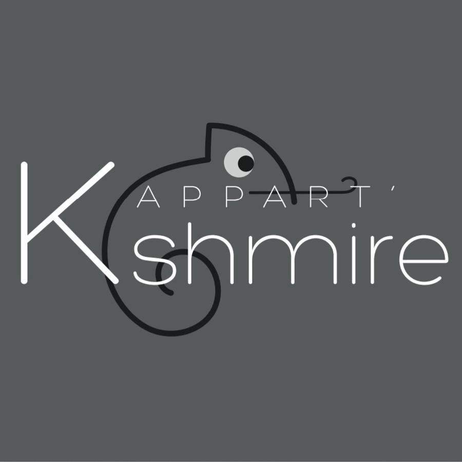 L'Appart K-Shmire- Cosy Et Spacieux, 4 Pers Le Mans Exterior photo